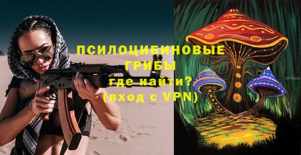 соль ск Алзамай