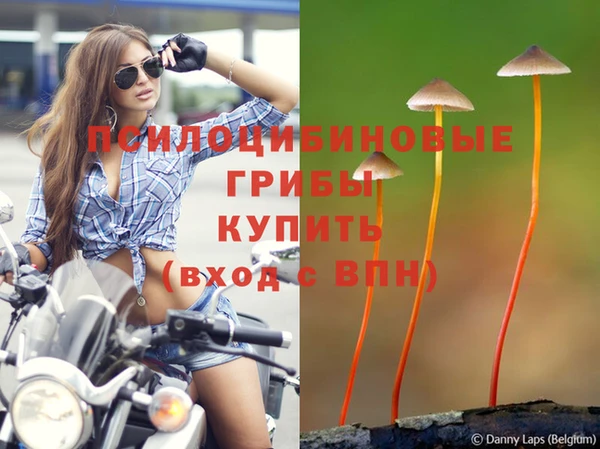 дмт Алексеевка