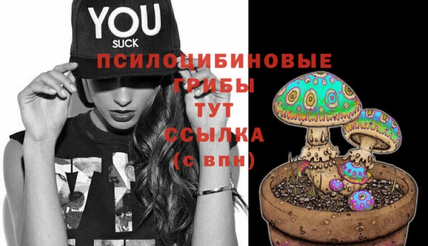 соль ск Алзамай