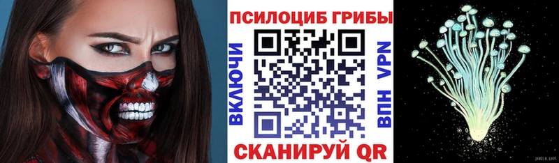 Псилоцибиновые грибы Magic Shrooms  Жуков 